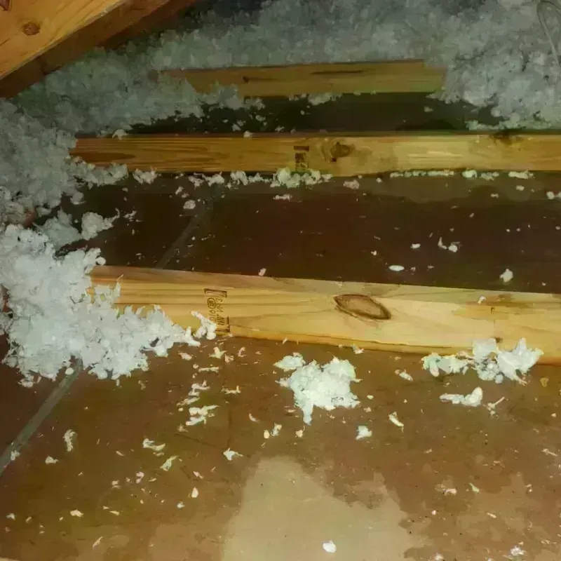 Attic Water Damage in Rome, GA