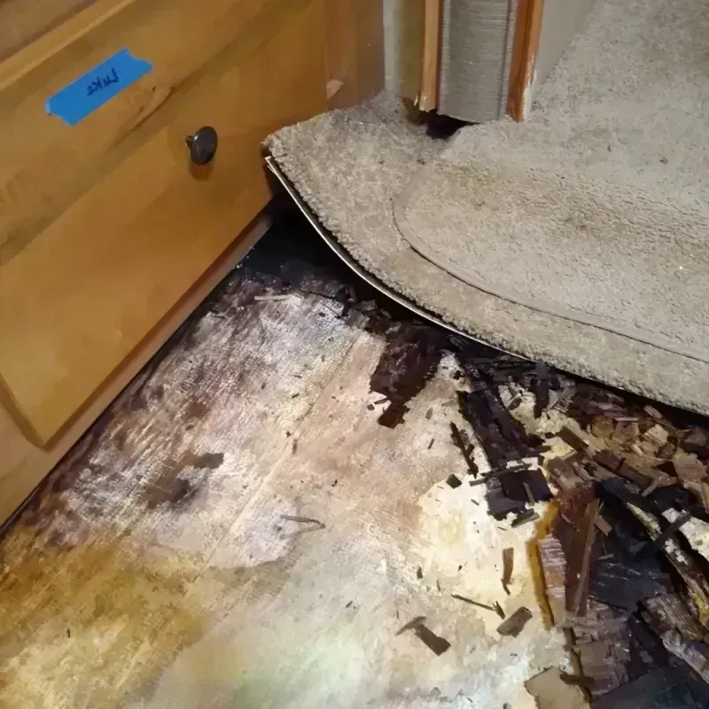 Wood Floor Water Damage in Rome, GA